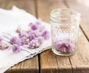 Chive-Blossoms-Jar-Amy-Roth-Photo
